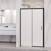 Душевая дверь RGW Passage PA-017B 350801714-24 140x195 матовое/черный