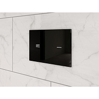 Кнопка смыва Ideal Standard ProSys Symfo R0129RX черный