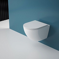 Унитаз-компакт Esbano Gardena-49T ESUPGARD49TW безободковый, белый