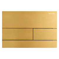 Кнопка смыва Splendy Stable Mood SM302TMGM золото брашированное