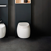 Унитаз подвесной Agape Pear 2 ACER0897WZP с микролифтом, белый матовый