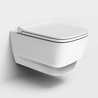 Чаша для унитаза подвесного Dreja Enzo 88.0001 белый