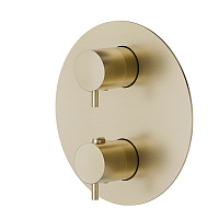 Смеситель Newform X-Steel 316 69663EX.59.098 для душа, brushed pale gold