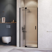 Душевая дверь RGW Hotel HO-014B 350601412-24 120x200 матовое-сатинат/черный