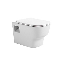 Унитаз подвесной Aquanika Basic AQB102-00 с сидением микролифт