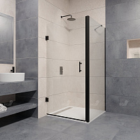 Душевой уголок RGW Passage 41083682-014 120x80x195 стекло прозрачное/профиль черный