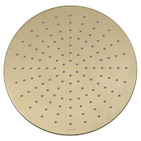 Верхний душ Splendy Feeling R FR212X300R1GM золото брашированное