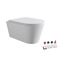 Унитаз подвесной Alice Hide 31170109SET безободковый, с сиденьем и креплением, белый матовый