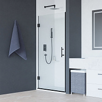 Душевая дверь RGW Hotel HO-011B 350601108-14 80x195 прозрачное/черный