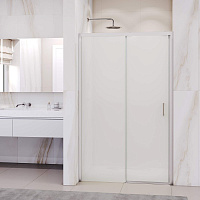 Душевая дверь RGW Passage PA-017 350801718-21 180x195 матовое/хром