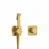 Гигиенический душ WasserKRAFT Schunter A8251.285.237.213 золото матовое