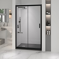 Душевая дверь RGW Passage PA-016B 350801613-24 130x195 матовое/черный