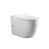 Чаша для унитаза-компакта Aquanet Rimless Cetus BL-102N-TPT с сидением Soft Close