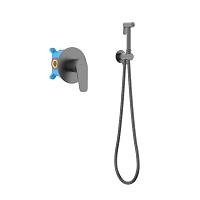 Гигиенический душ со смесителем Aquatek Бетта AQ1119BGM оружейная сталь