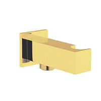 Шланговое подключение Fima Carlo Frattini Shower accessories F2438OS Brushed Gold