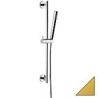 Душевой гарнитур Emmevi C02669/OA золото матовое
