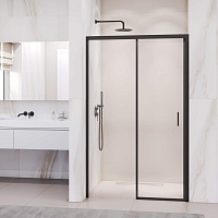 Душевая дверь RGW Passage PA-017B 350801716-14 160x195 прозрачное/черный